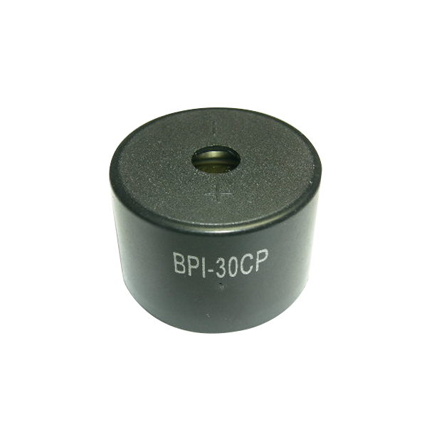 BPI-30CP / 인투피온